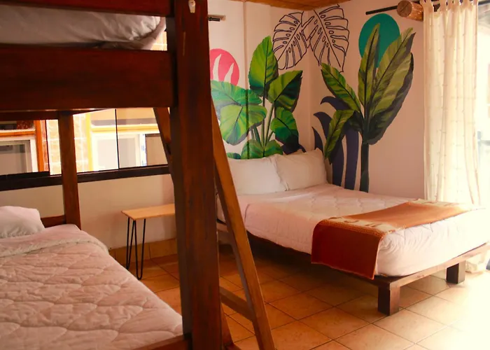 Supertramp Hostel Machupicchu